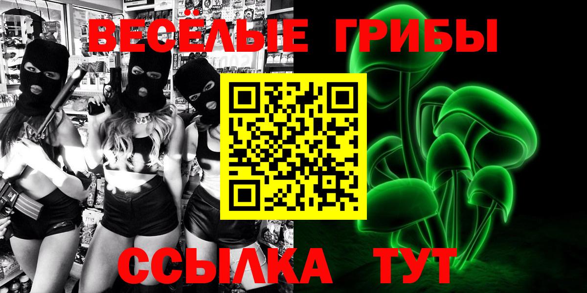 Галлюциногенные грибы мицелий Тара