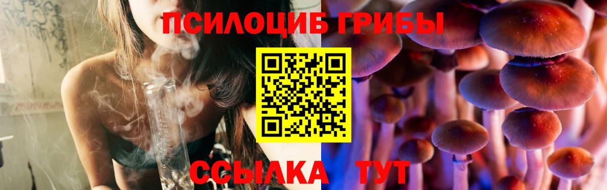 где найти   Вход с VPN  Галлюциногенные грибы Psilocybe  Тара  Псилоцибиновые грибы Psilocybe 